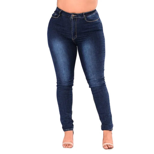 Plus Size Stretch Denim Skinny Jeans